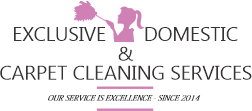 Exclusive Domestic & Carpet Cleaning Services